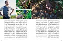 Book "BETWEEN THE VINES" (in English)