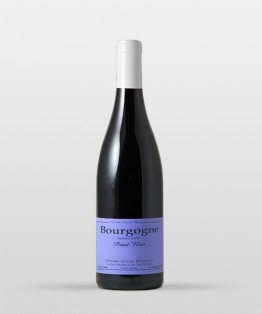Bourgogne Pinot Noir 2015