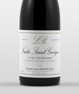 Nuits-Saint-Georges 1er cru Les Pruliers 2013