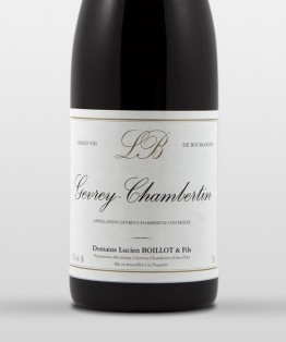 Gevrey-Chambertin 2013