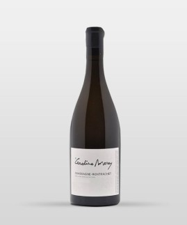 Chassagne-Montrachet rouge 2022