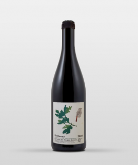 Santenay Blanc Saint Jean de Narosse 2023