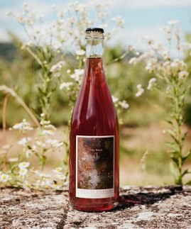 Tonic of Wildness petnat 2020