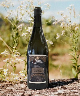 Poelignié-Monthieux blanc 2024