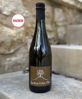 Magnum Ma Carotte 2022