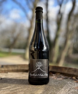 Les Grandes Orgues 2022