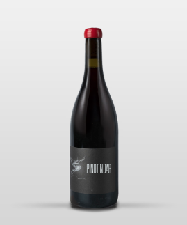 PINOT NOAR 2024