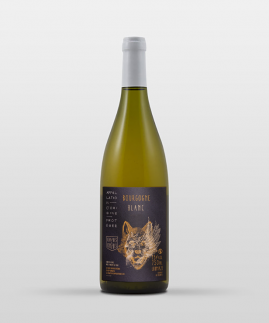 Bourgogne aligoté 2025
