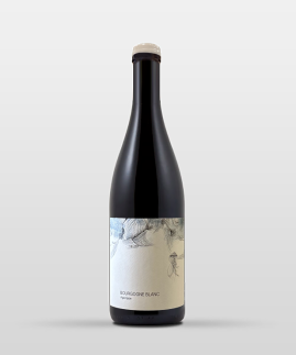 Bourgogne blanc Aganippe 2025