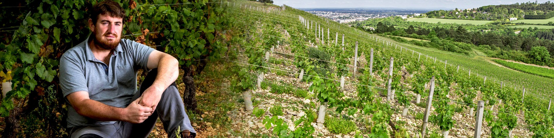 Domaine de la Cras - Marc Soyard