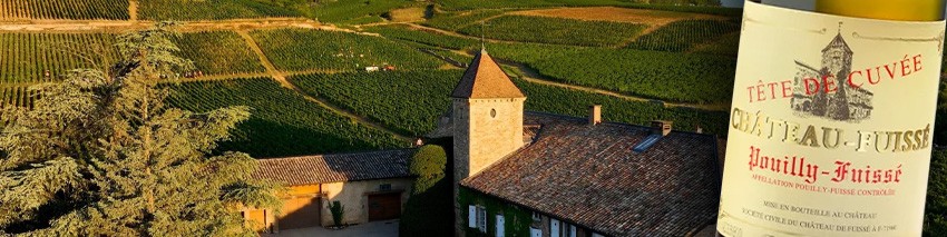 Château de Fuissé - Famille Vincent