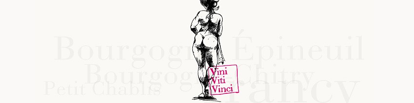 Vini Viti Vinci - Nicolas Vauthier