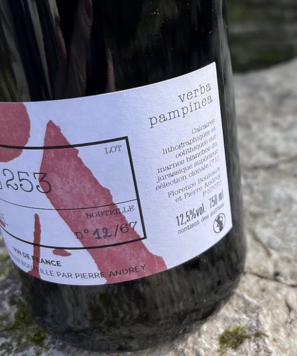 PN Bourgogne Projet F.H. vieille vigne 2021dj 252 & 253 PN Bourgogne Projet F.H. vieille vigne 2021dj 252 & 253