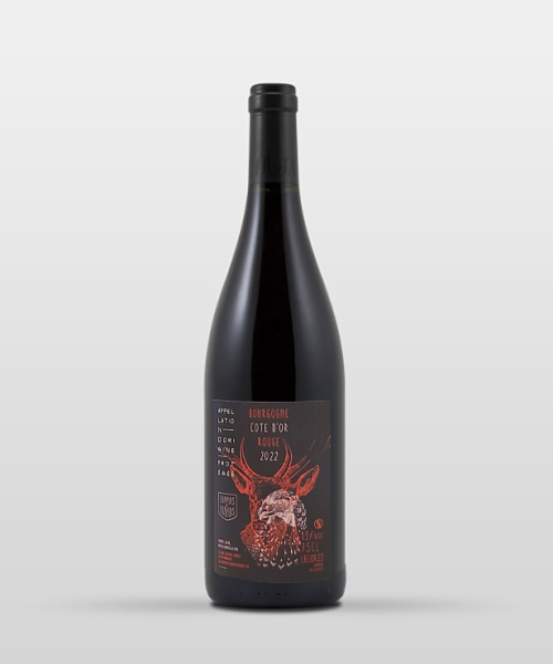 Bourgogne rouge 2024