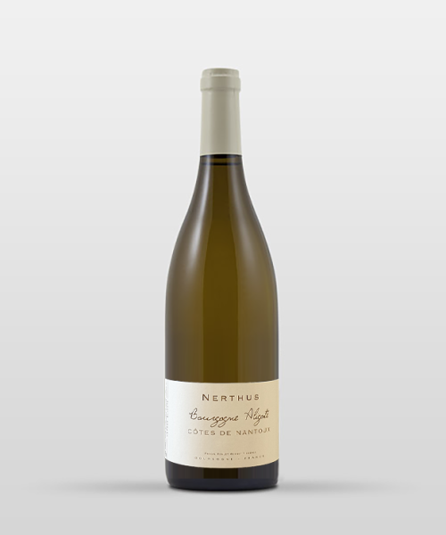Bourgogne Aligoté Nerthus 2023 Bourgogne Aligoté Nerthus 2023