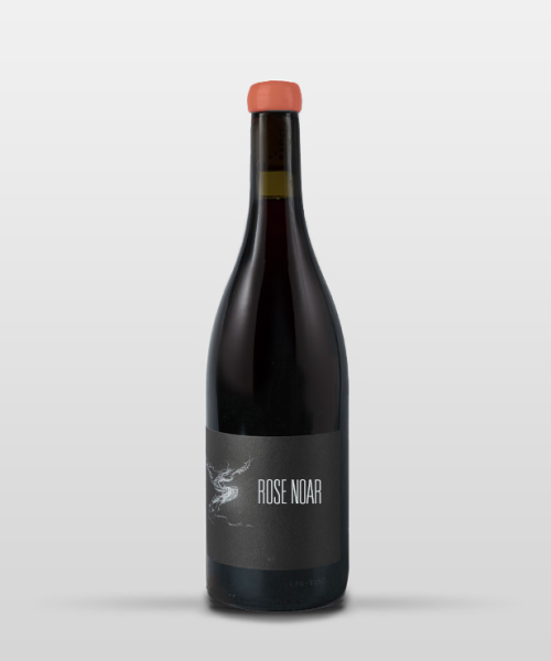 ROSE NOAR 2024