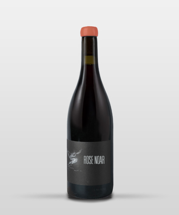 ROSE NOAR 2024 ROSE NOAR 2024