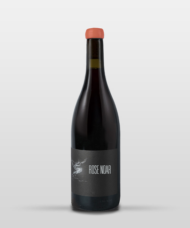 ROSE NOAR 2024