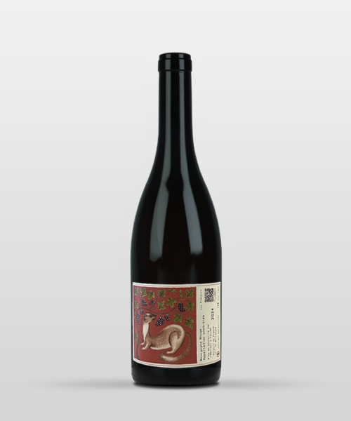 Bourgogne rouge 2024 Bourgogne rouge 2024
