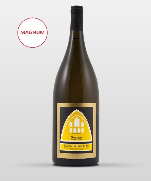 Santenay lieu dit Sous La Roche 2019 MAGNUM