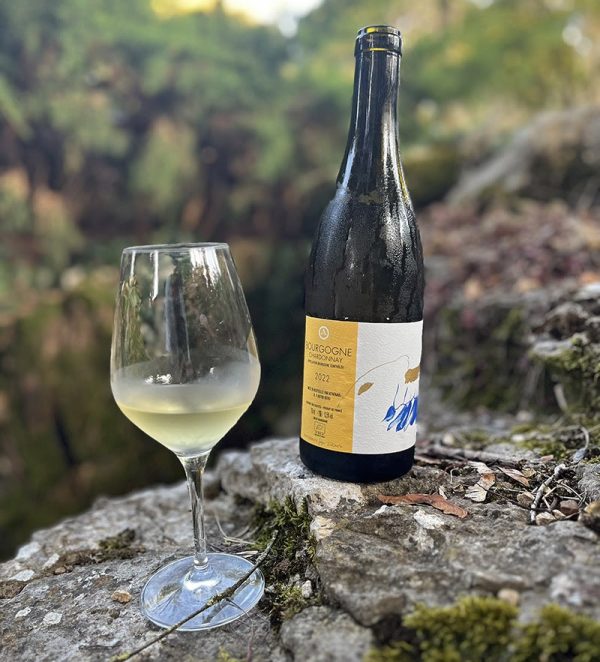 Bourgogne Chardonnay 2023
