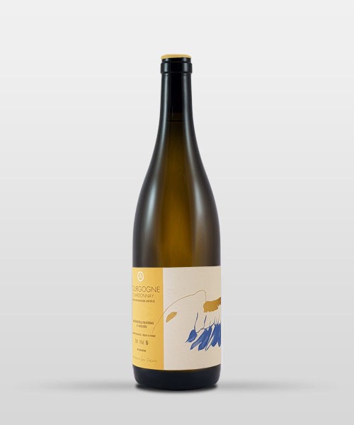 Bourgogne Chardonnay 2023