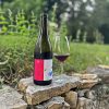 Bourgogne Pinot Noir 2023
