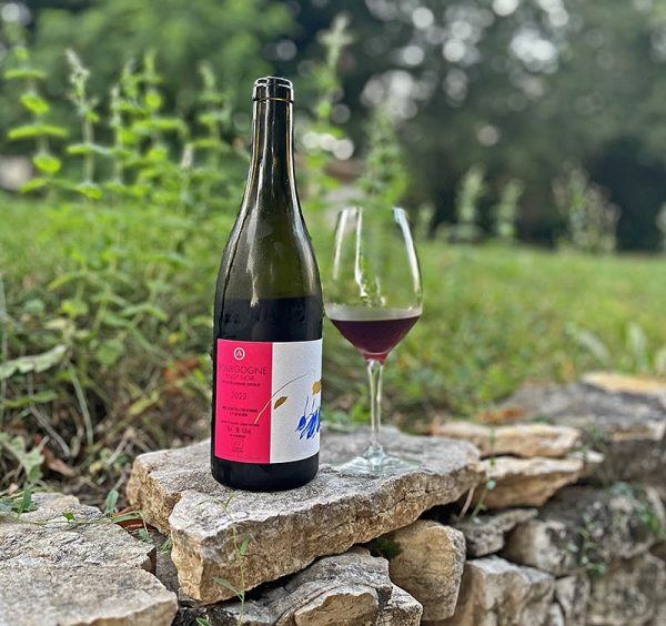 Bourgogne Pinot Noir 2023