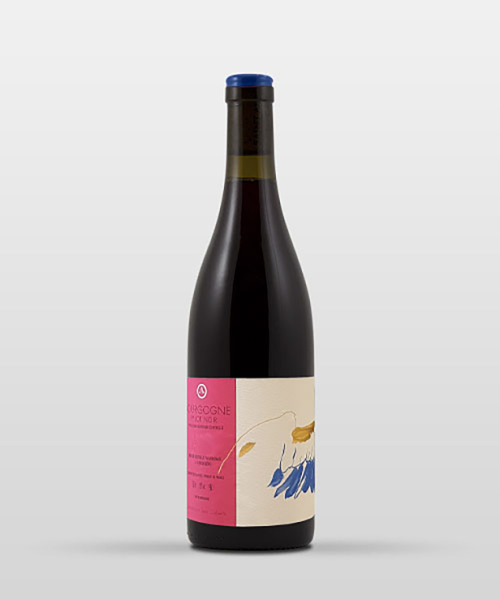Bourgogne Pinot Noir 2023