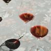 Côte de Brouilly 2024