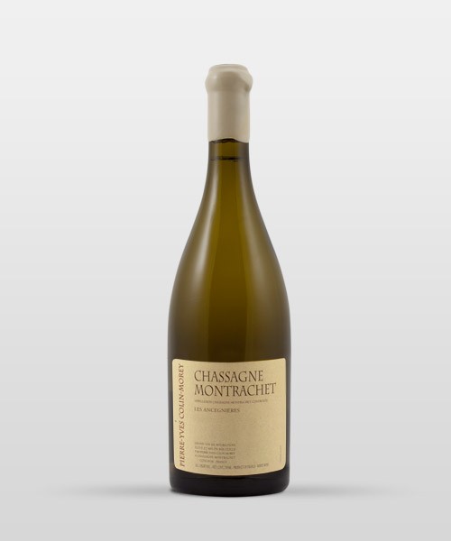 Chassagne-Montrachet Ancegnières 2023
