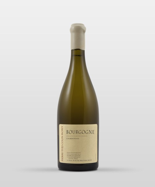 Bourgogne blanc 2023