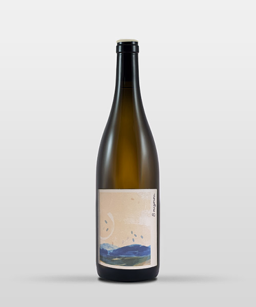 Bourgogne Hautes Côtes de Beaune Blanc 2023 (24 mois d'élevage)