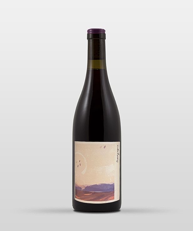 Bourgogne rouge "Les Châtaigniers" 2024