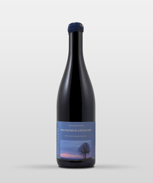 Bourgogne Rouge "Côte d'Or" 2024
