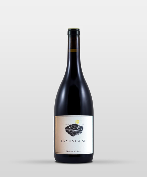Côte de Nuits "La Montagne" 2024 Côte de Nuits "La Montagne" 2024