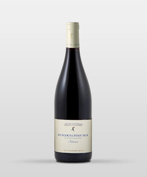 Bourgogne Antonin 2018