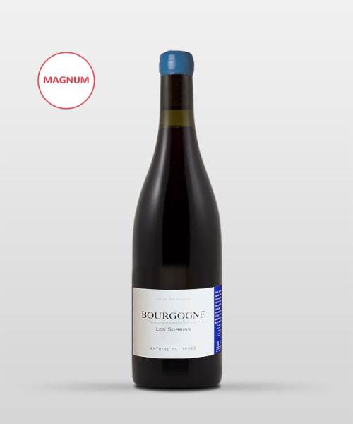 Bourgogne "Les Sorbins" 2023 MAGNUM Bourgogne "Les Sorbins" 2023 MAGNUM