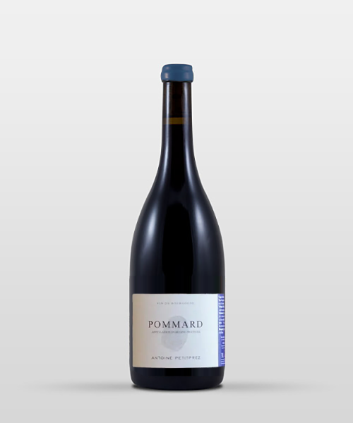 Pommard 2022