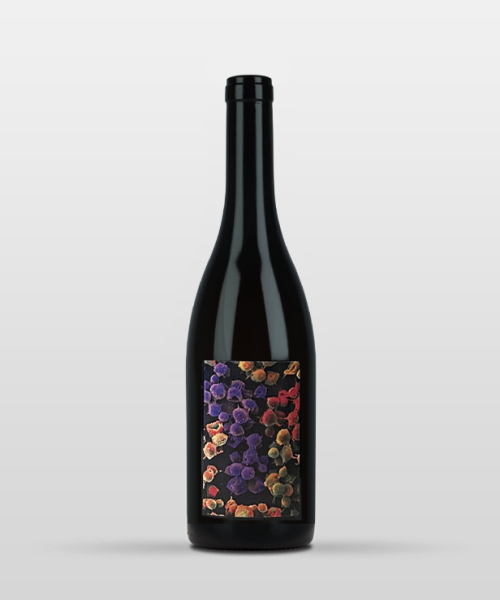 Gamay 2024