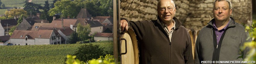 Amiot Pierre